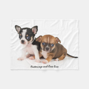 Cute Chihuahuas Foto Vliesdeken Fleece Deken