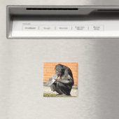 CUTE CHIMP MAGNEET (Insitu (Vaatwasser))