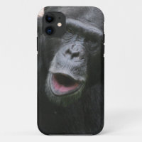 Cute Chimpansee