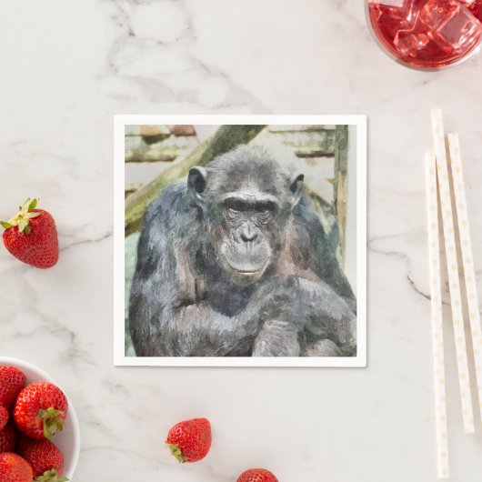 CUTE CHIMPANZEE SERVET (Insitu)