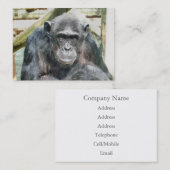 CUTE CHIMPANZEE VISITEKAARTJE (Voorkant / Achterkant)