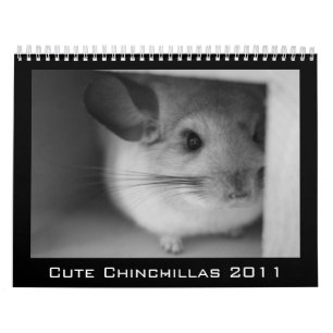 Cute Chinchilla Calendar 2011 Kalender