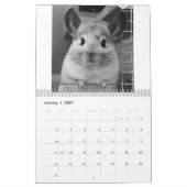 Cute Chinchilla Calendar 2011 Kalender (Jan 2027)