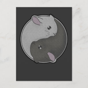Cute Chinchilla Gift Yin Yang Rodent Pet Taoism Briefkaart
