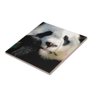 Cute Chinese Panda Beer Eet Bamboo Digital Art Tegeltje