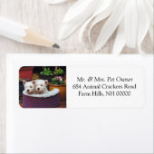 Cute Chipies Blanches Retourner Adresse Stickers C (En situation)