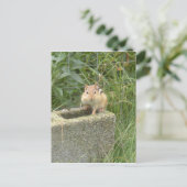 Cute Chipmunk Briefkaart (Staand voorkant)