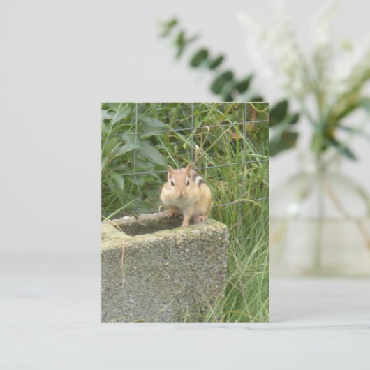 Cute Chipmunk Briefkaart (Staand voorkant)