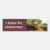 Cute Chipmunk Bumpersticker (Voorkant)