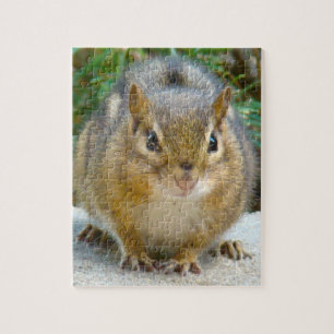 Cute Chipmunk heeft zijn oog op jou Legpuzzel