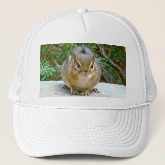 Cute Chipmunk heeft zijn oog op jou Trucker Pet (Voorkant)