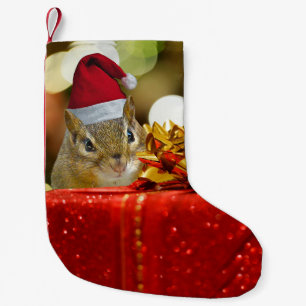 Cute Chipmunk Merry Kerstmis Kleine Kerstsok