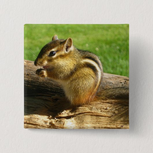 Cute Chipmunk Vierkante Button 5,1 Cm (Voorkant)