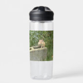 Cute Chipmunk Waterfles (Voorkant)
