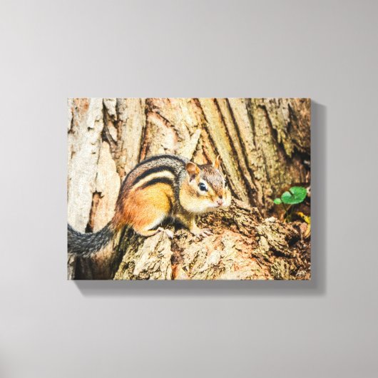 Cute Chipmunk Wildlife Animals Natuur Canvas Afdruk (Voorkant)
