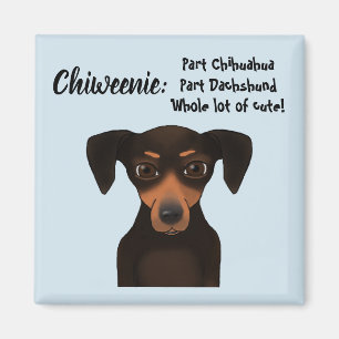 Cute Chiweenie Appreciation Chihuahua Dachshund Magneet