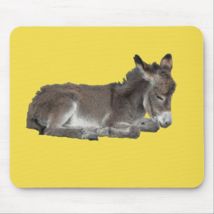 Cute chocola donkey baby foelie slaapt muismat