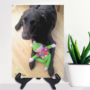Cute Chocolade Lab Met Speeltje Foto Missen Kaart