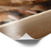 Cute chocolade Lab Pit Mix Dog Foto Afdruk (Hoek)