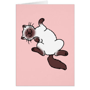 Cute chocolade point Siamese cat