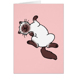 Cute chocolade point Siamese cat