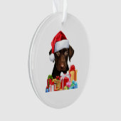Cute Chocolat Lab Puppy Santa Hat Fun Image Chris (devant)