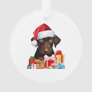 Cute Chocolat Lab Puppy Santa Hat Fun Image Chris