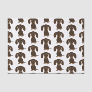 Cute Chocolate Dachshunds Patroon   Wiener Dogs Tissuepapier