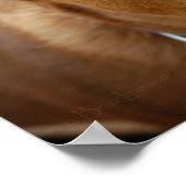 Cute Chocolate Lab Pit Mix Dog Portret 5 Poster (Hoek)