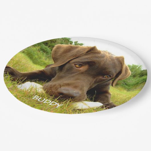 Cute Chocolate Labrador Custom Papieren Bordje (Gekanteld)