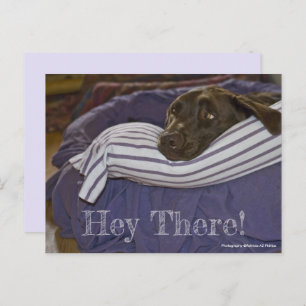 Cute Chocolate Labrador Retriever in aangepaste be Briefkaart