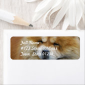 Cute Chow Chow Mailing Labels (Insitu)