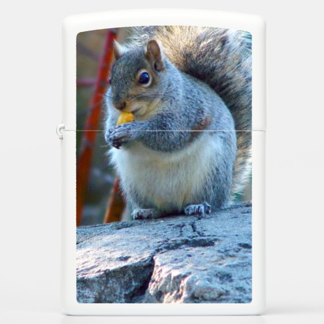 Cute chubby Squirrel Lighter (Voorkant)