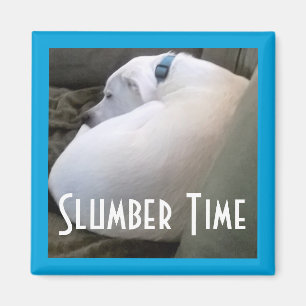 Cute Chubby White Sleeping Puppy Dog Slumber Party Magneet