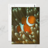Cute Clownfish briefkaart (Voorkant / Achterkant)