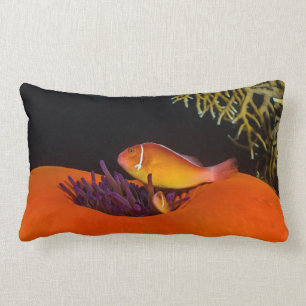 Cute Clownfish on the Great Barrier Reef Kussen