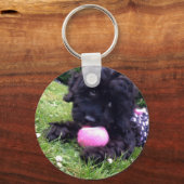 Cute Cockapoo Puppy Round Button Key Ring Sleutelhanger (Voorkant)