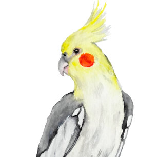 Cute Cockatiel Waterverf Parrot. Kussen