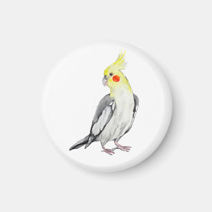 Cute Cockatiel Waterverf Parrot. Magneet