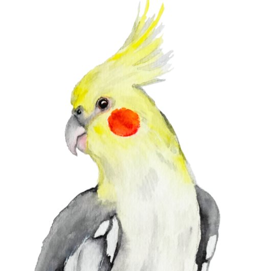 Cute Cockatiel Waterverf Parrot. T-shirt