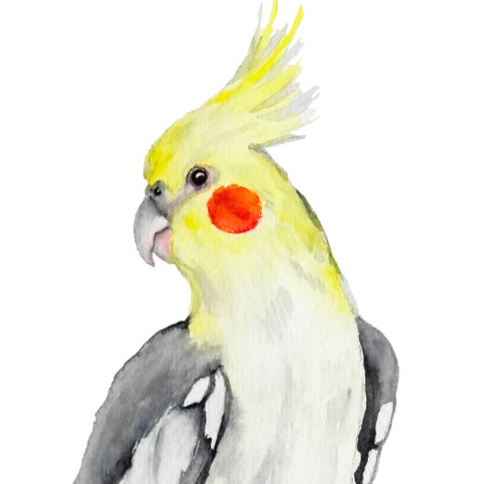 Cute Cockatiel Waterverf Parrot. Vierkante Sticker