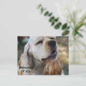 Cute Cocker Briefkaart (Staand voorkant)