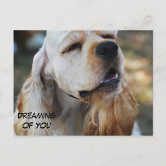 Cute Cocker Briefkaart