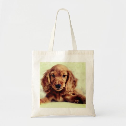 Cute Cocker Spaniel Chien Chien Chien Chien Sac fo (Devant)