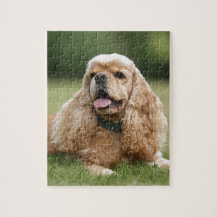Cute Cocker Spaniel Legpuzzel