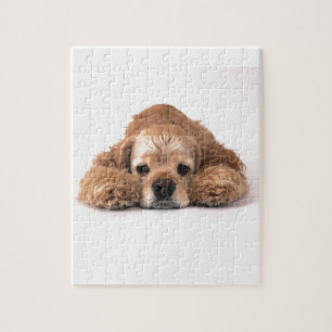 Cute Cocker Spaniel Legpuzzel