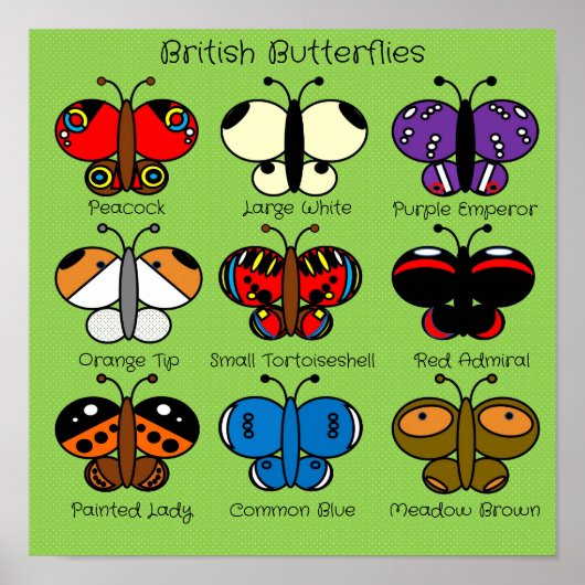 Cute Colorful British Butterfly Poster (Voorkant)
