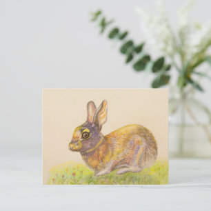 Cute colorful Bunny tekening Feestdagenkaart