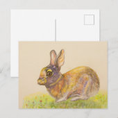 Cute colorful Bunny tekening Feestdagenkaart (Voorkant / Achterkant)