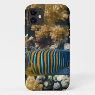 Cute Colorful Fish iPhone 11 Hoesje